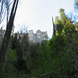 Neuschwanstein  Picture 122.jpg